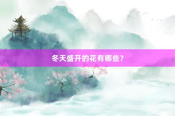 冬天盛开的花有哪些？